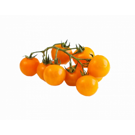 طماطم شيري الوان-فلين