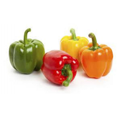 فلفل بارد الوان - طبق