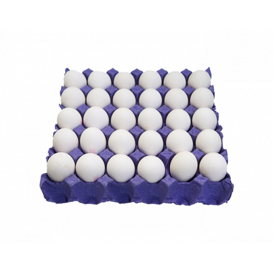 بيض طازج - طبق