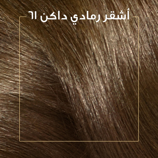 "كوليستون صبغة شعر بني رمادي فاتح جدا كيت 6/1 " "كوليستون صبغة شعر بني رمادي فاتح جدا كيت 6/1 "