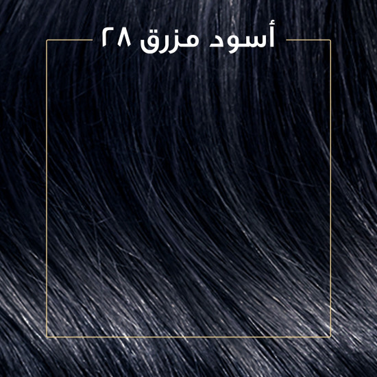 "كوليستون صبغة شعر أسود مزرق كيت 2/8 " "كوليستون صبغة شعر أسود مزرق كيت 2/8 "