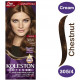 كوليستون ماكسي صبغة شعر كستنائى 305/4 كوليستون ماكسي صبغة شعر كستنائى 305/4