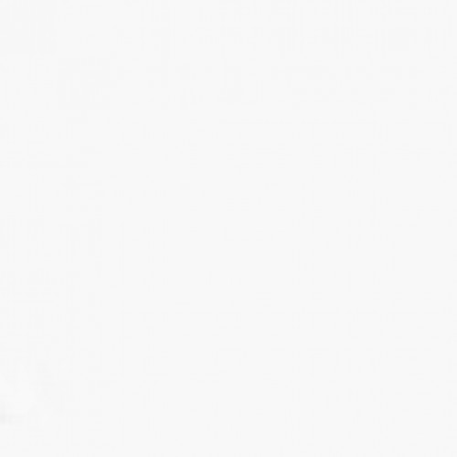 الفيف إكستراوردينري زيت لجميع انواع الشعر 100 مل الفيف إكستراوردينري زيت لجميع انواع الشعر 100 مل