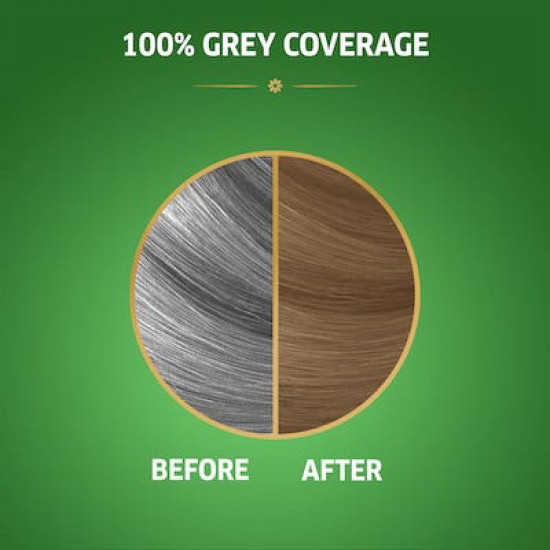 كوليستون ناتشورال صبغة أشقر رمادي فاتح 8/1 كوليستون ناتشورال صبغة أشقر رمادي فاتح 8/1