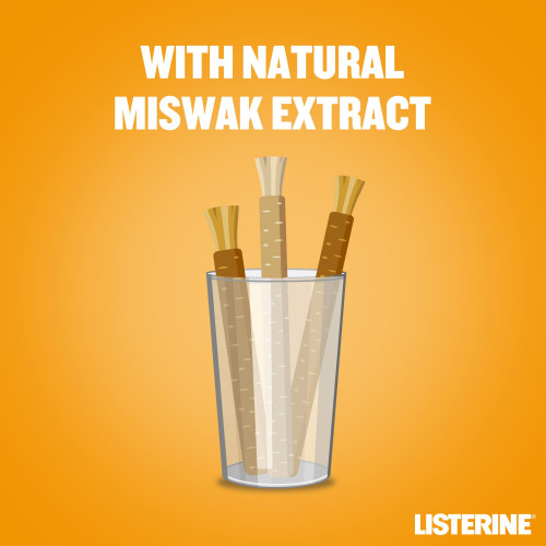 ليسترين غسول الفم مسواك ٥٠٠ مل ليسترين غسول الفم مسواك ٥٠٠ مل