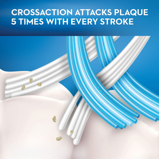 اورال - بي فرشة اسنان اكبيرت وسط (1+1) اورال - بي فرشة اسنان اكبيرت وسط (1+1)