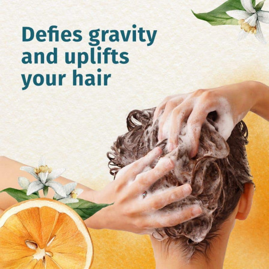 هيربال ايسنز شامبو كثيف شعر رقيق الي عادي 400 مل هيربال ايسنز شامبو كثيف شعر رقيق الي عادي 400 مل