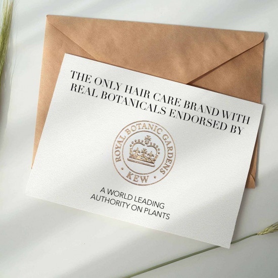 هيربال ايسنز بلسم ماء مسلر زنجبيل أزرق 400 مل هيربال ايسنز بلسم ماء مسلر زنجبيل أزرق 400 مل