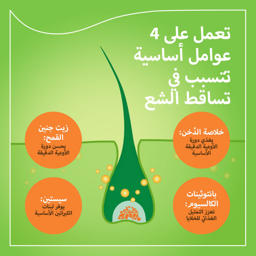 برايورين-ان لنمو الشعر 90 كبسولة