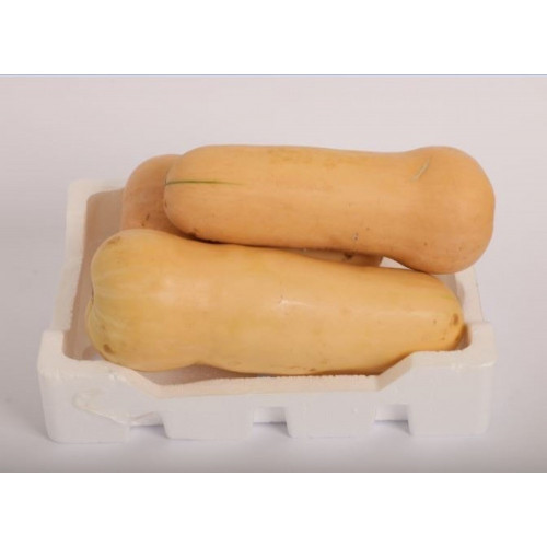 قرع امريكي فلين 2.2كجم طبيعي قرع امريكي فلين 2.2كجم طبيعي