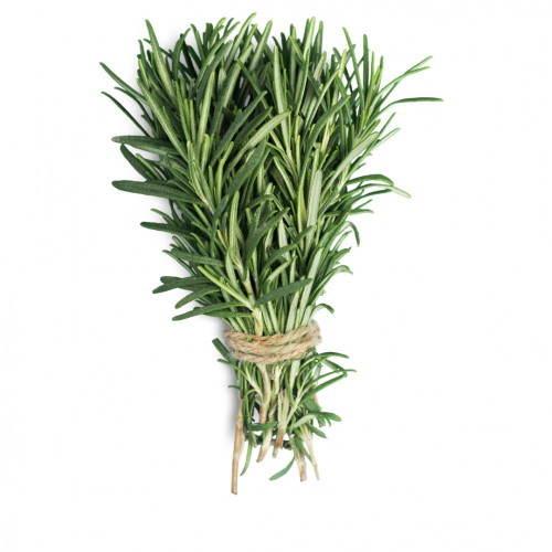 اكليل الجبل العضوي مزرعة ال طالب اكليل الجبل العضوي مزرعة ال طالب