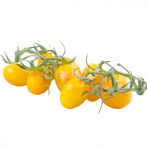 طماطم كرز اصفر عضوي 250جم ال طالب طماطم كرز اصفر عضوي 250جم ال طالب