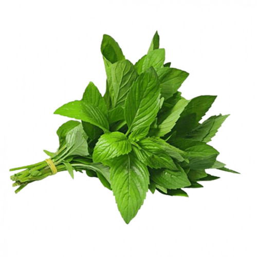 نعناع عضوي طازج ربطة ال طالب نعناع عضوي طازج ربطة ال طالب