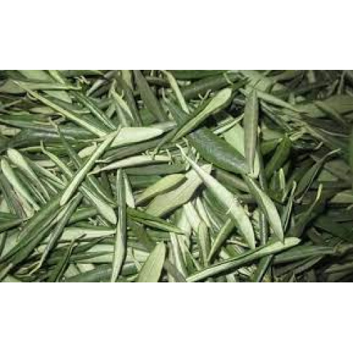 ورق زيتون بلدي مجفف 100جم طبيعي  