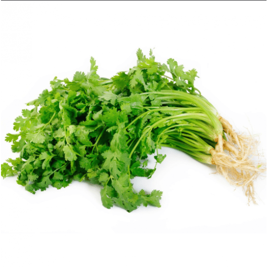 كزبرة عضوية ربطة ال طالب