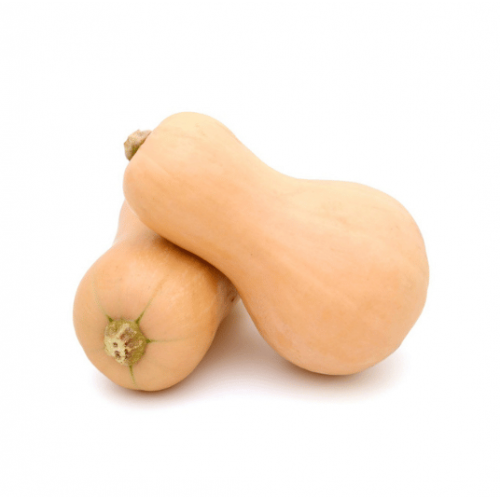 قرع عضوي من مزرعة ال طالب العضوية قرع عضوي من مزرعة ال طالب العضوية