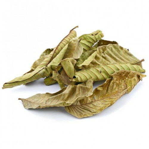 ورق جوافة طبيعي 80 جرام ورق جوافة طبيعي 80 جرام