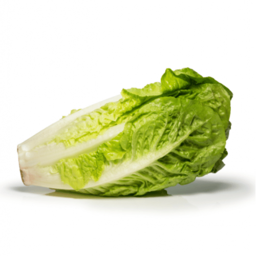 خس بلدي عضوي 400جم ال طالب خس بلدي عضوي 400جم ال طالب