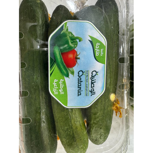 خيار 1 كجم الوطنية خيار 1 كجم الوطنية