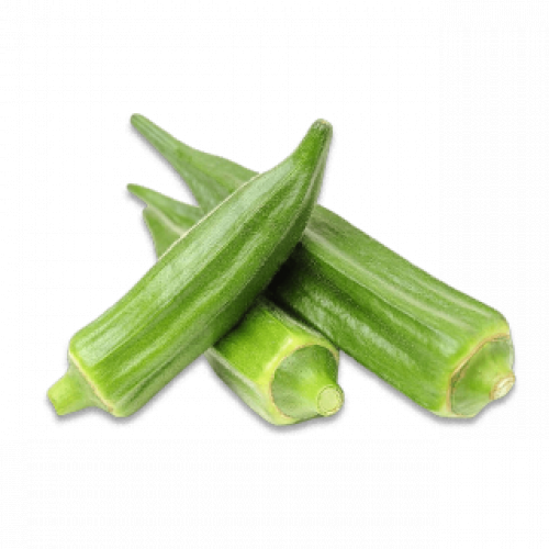 بامية عضوية طازجة 500جم مزرعة الشهوان بامية عضوية طازجة 500جم مزرعة الشهوان