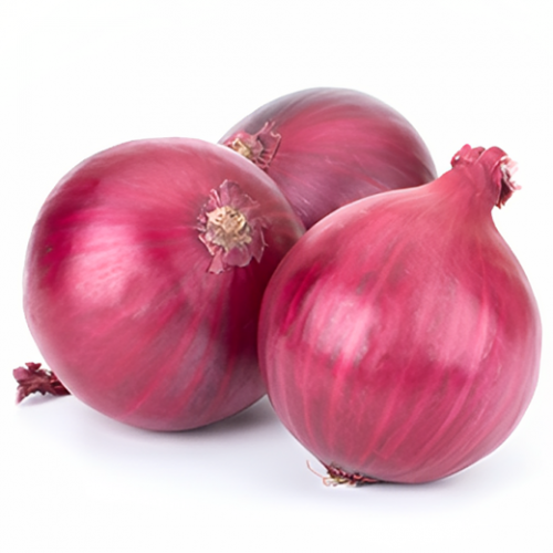 بصل احمر عضوي 1 كجم مزرعة الشهوان بصل احمر عضوي 1 كجم مزرعة الشهوان