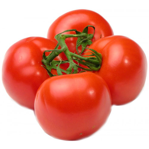طماطم عضوي 1 كجم مزرعة الشهوان طماطم عضوي 1 كجم مزرعة الشهوان
