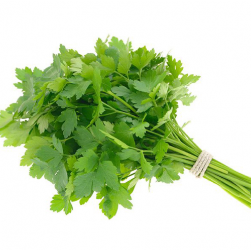 بقدونس عضوي ربطة مزرعة الشهوان بقدونس عضوي ربطة مزرعة الشهوان