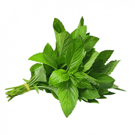 نعناع عضوي ربطة مزرعة الشهوان نعناع عضوي ربطة مزرعة الشهوان