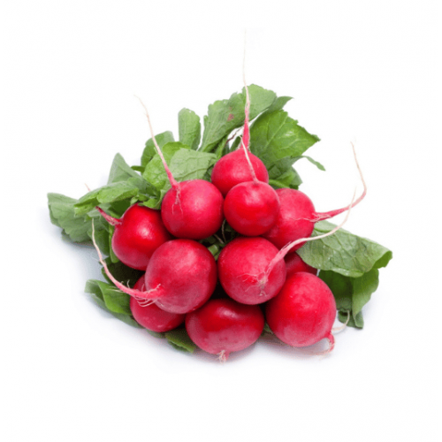 فجل احمر عضوي طبق مزرعة الشهوان فجل احمر عضوي طبق مزرعة الشهوان