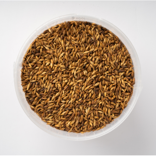 شعير حب محمص عضوي 500جم القمم الوطنية شعير حب محمص عضوي 500جم القمم الوطنية