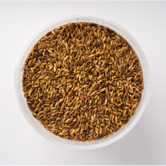 شعير حب محمص عضوي 500جم القمم الوطنية شعير حب محمص عضوي 500جم القمم الوطنية