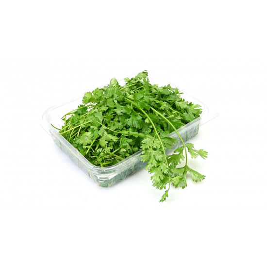 كزبرة طازجة عضوي ( ربطة ) مزرعة السلوى كزبرة طازجة عضوي ( ربطة ) مزرعة السلوى