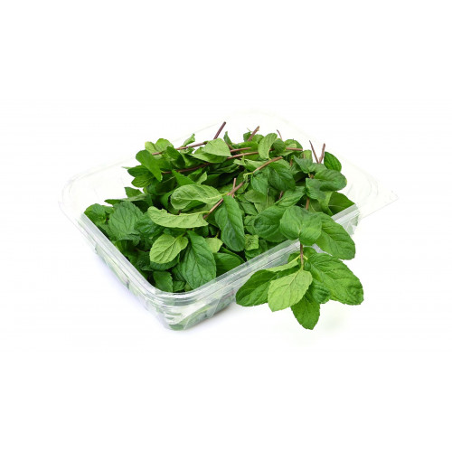 نعناع عضوي طازج ربطة مزرعة السلوى نعناع عضوي طازج ربطة مزرعة السلوى