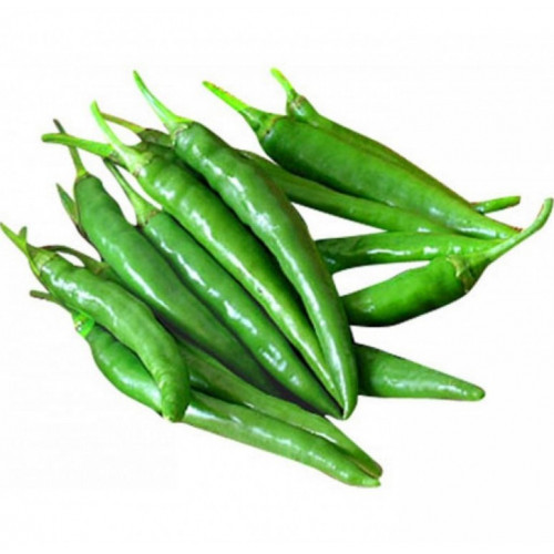 فلفل اخضر حار 425جم مزرعة الشهوان فلفل اخضر حار 425جم مزرعة الشهوان