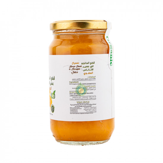 قطع المانجو في عصير الاناناس عضوي 340جم رايت دايت