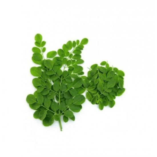 مورينجا عضوية طازجة ربطة  ال طالب 