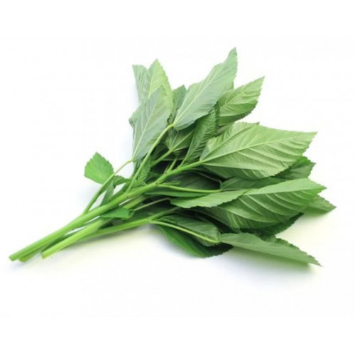 ملوخية طازجة طبيعية ربطة