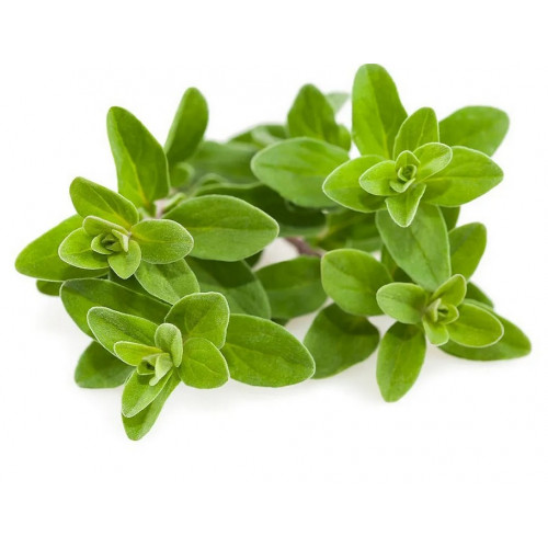 بردقوش عضوي طازج طبق مزرعة السلوى 