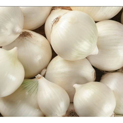 بصل ابيض عضوي 1 كجم مزرعة السلوى بصل ابيض عضوي 1 كجم مزرعة السلوى