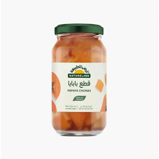 قطع بابايا عضوي 355جم عضوي خالي من الجلوتين ارض الطبيعة قطع بابايا عضوي 355جم عضوي خالي من الجلوتين ارض الطبيعة