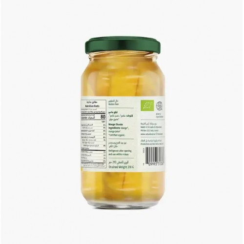 قطع مانجو عضوية 355جم خالي من الجلوتين ارض الطبيعة قطع مانجو عضوية 355جم خالي من الجلوتين ارض الطبيعة