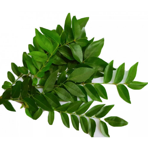 ورق كاري طازج عضوي طبق مزرعة بيت الاستنبات ورق كاري طازج عضوي طبق مزرعة بيت الاستنبات