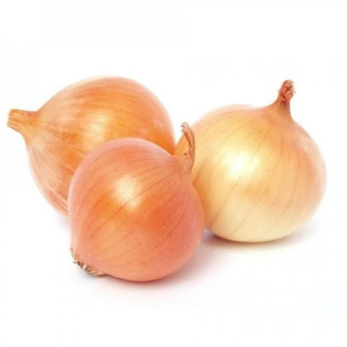 بصل اصفر عضوي 1 كجم مزارع الخير العضوية بصل اصفر عضوي 1 كجم مزارع الخير العضوية