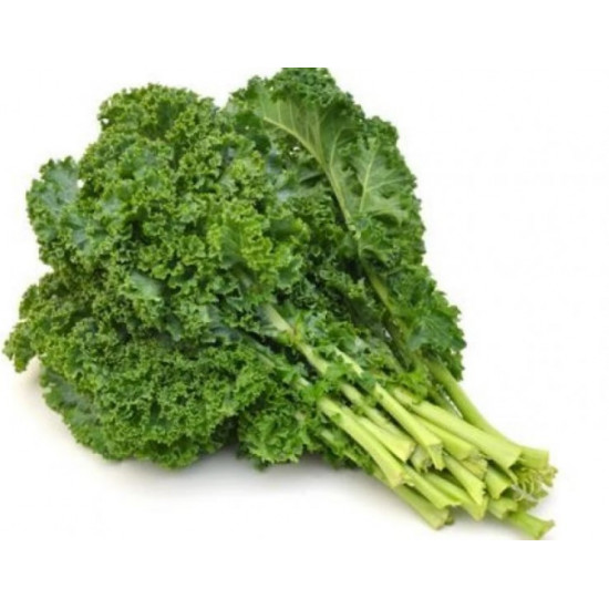 كيل اخضر عريض عضوي مزرعة بيت الاستنبات العضوية