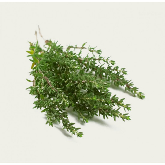 زعتر طازج عضوي علبه 100جم ال طالب زعتر طازج عضوي علبه 100جم ال طالب