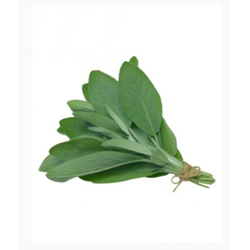 مراميه عضوية طازجة طبق مزرعة بيت الاستنبات العضوية مراميه عضوية طازجة طبق مزرعة بيت الاستنبات العضوية