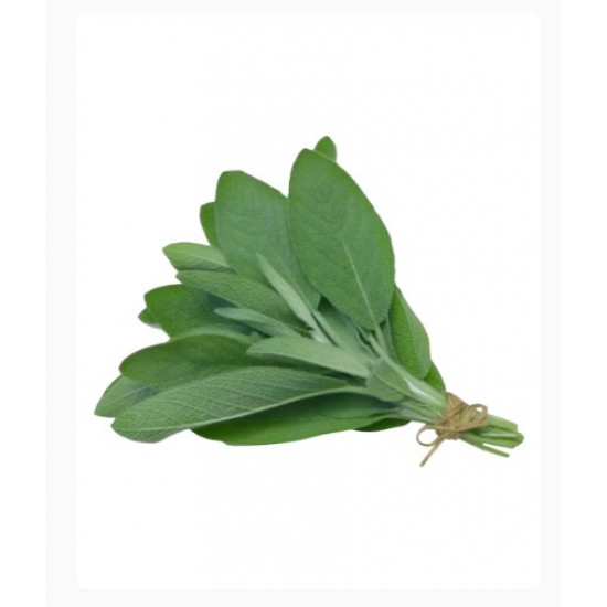 مراميه عضوية طازجة طبق مزرعة بيت الاستنبات العضوية