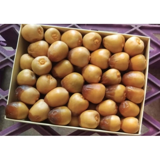 سكري مناصيف فاخر عضوي طازج 1 كجم مزرعة السلوى العضوية سكري مناصيف فاخر عضوي طازج 1 كجم مزرعة السلوى العضوية