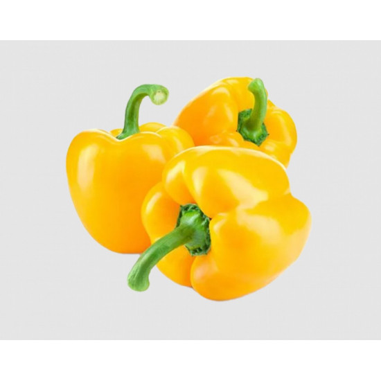 فلفل رومي اصفر عضوي 1.200جم طبق مزرعة الشهوان فلفل رومي اصفر عضوي 1.200جم طبق مزرعة الشهوان