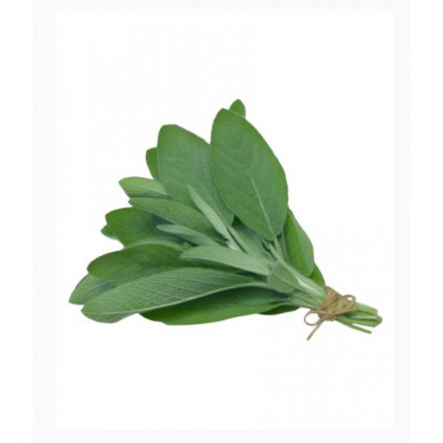 مرامية عضوية طازجة طبق - مزرعة الخير العضوية مرامية عضوية طازجة طبق - مزرعة الخير العضوية